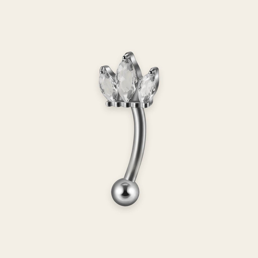 Silver titanium rook curved barbell, couronne cubic-zirconia top — 16G, nickel-free, Aurea