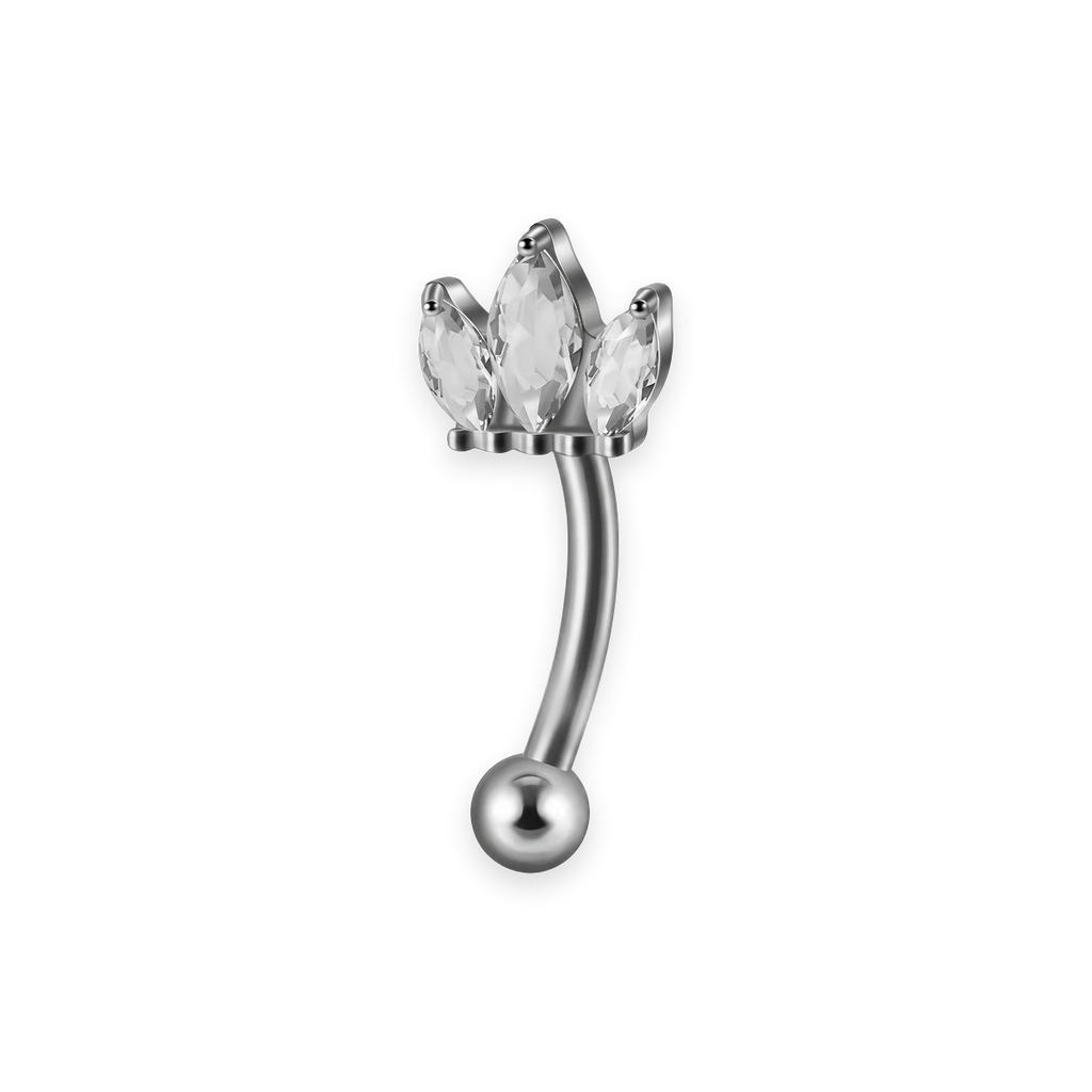 Silver titanium rook curved barbell, couronne cubic-zirconia top — 16G, nickel-free, Aurea