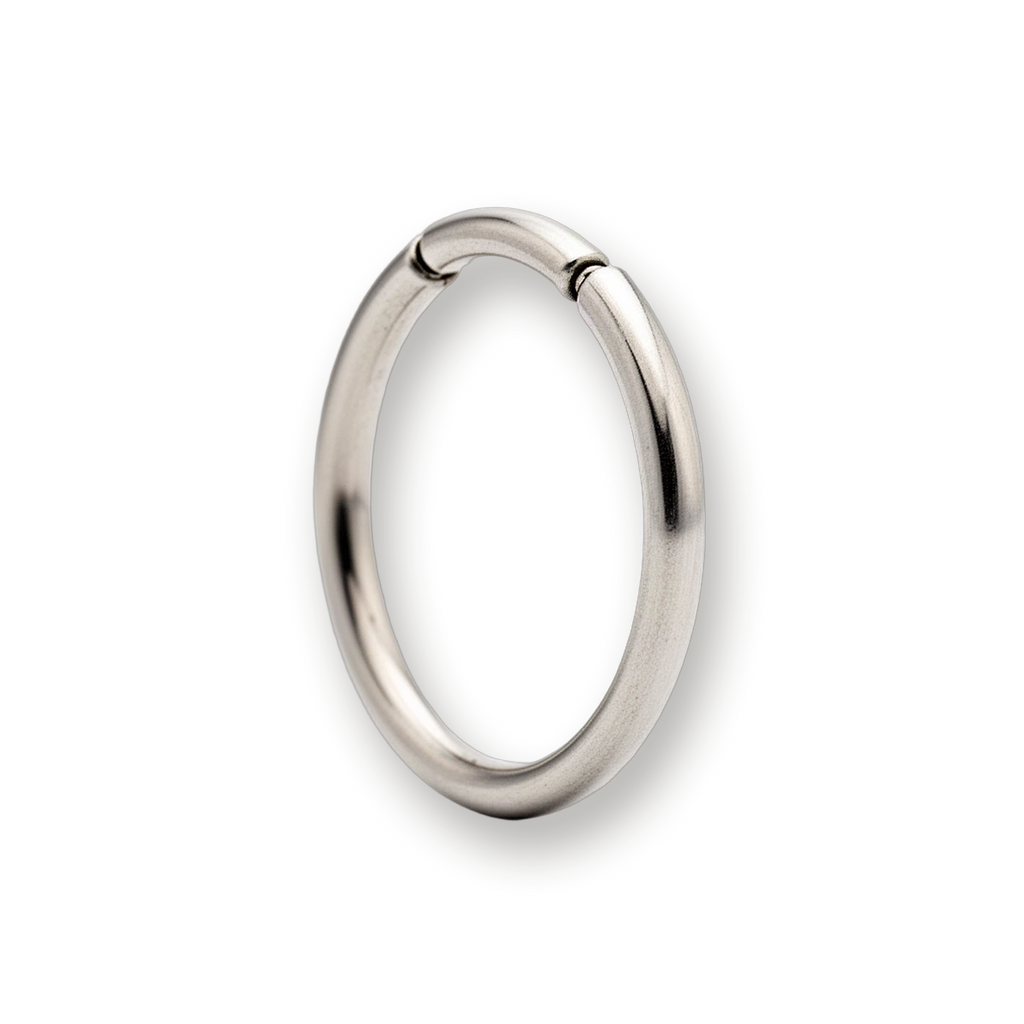 Titanium nose ring, plain hinged segment ring — Aurea